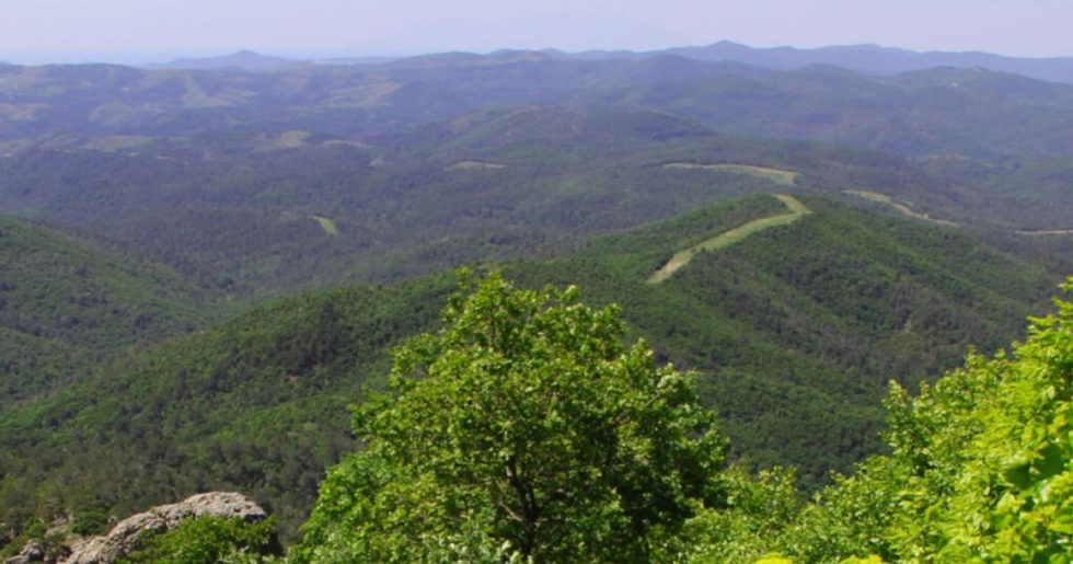 Στα κάγκελα για τα «παράθυρα» δόμησης σε περιοχές Natura